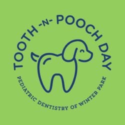 tooth n pooch day winter park fl dentist